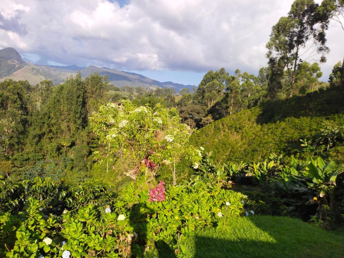 Finca Cafetera El Coral خاردين المظهر الخارجي الصورة